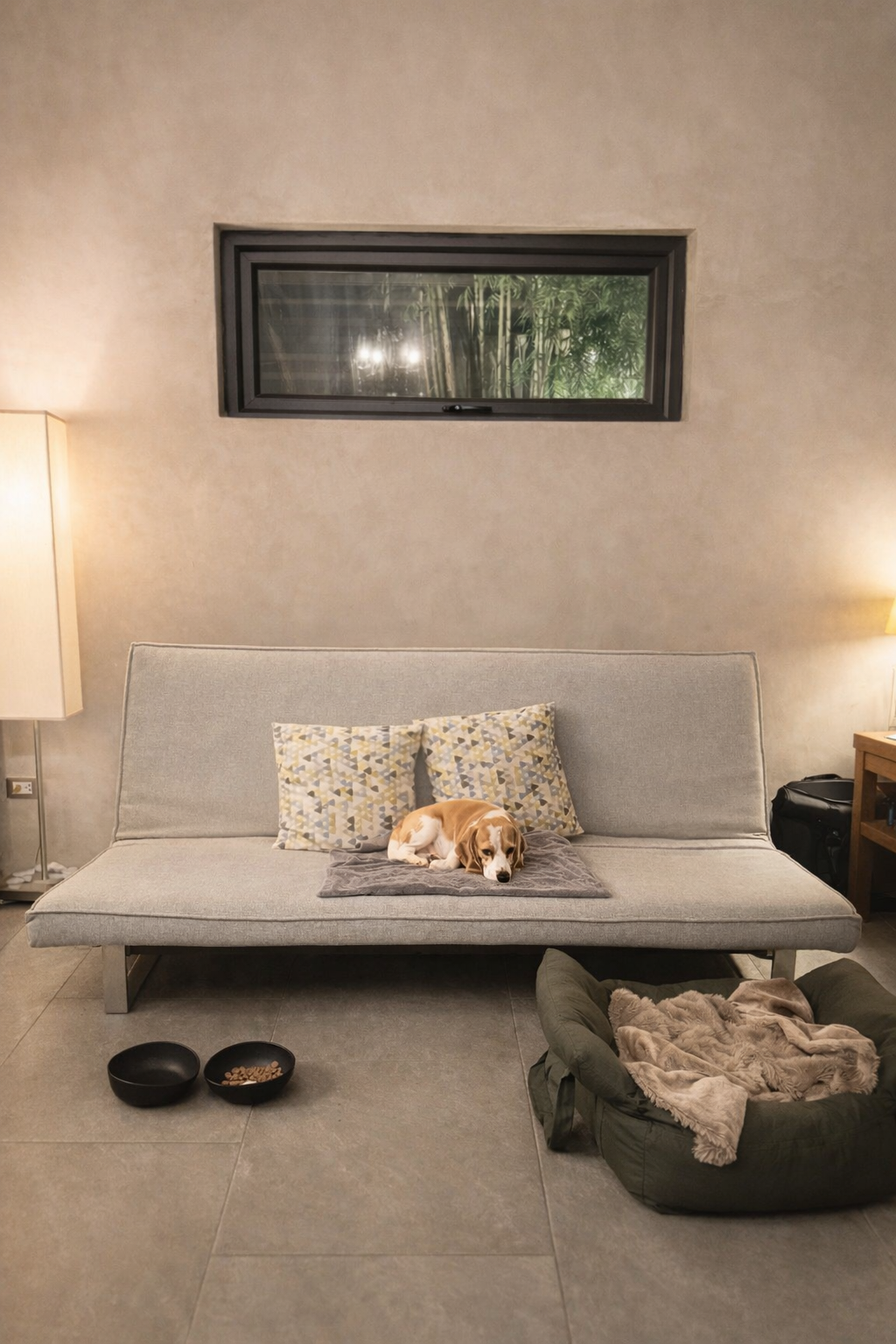 A dog asleep on the sofa in a pet-friendly cabin at Veue with a pet bed and bowls