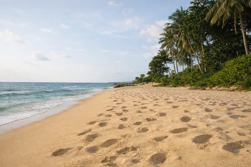 Golden sand and footprints along Patar Beach in Bolinao, with palm trees on the shoreline and the West Philippine Sea beyond.