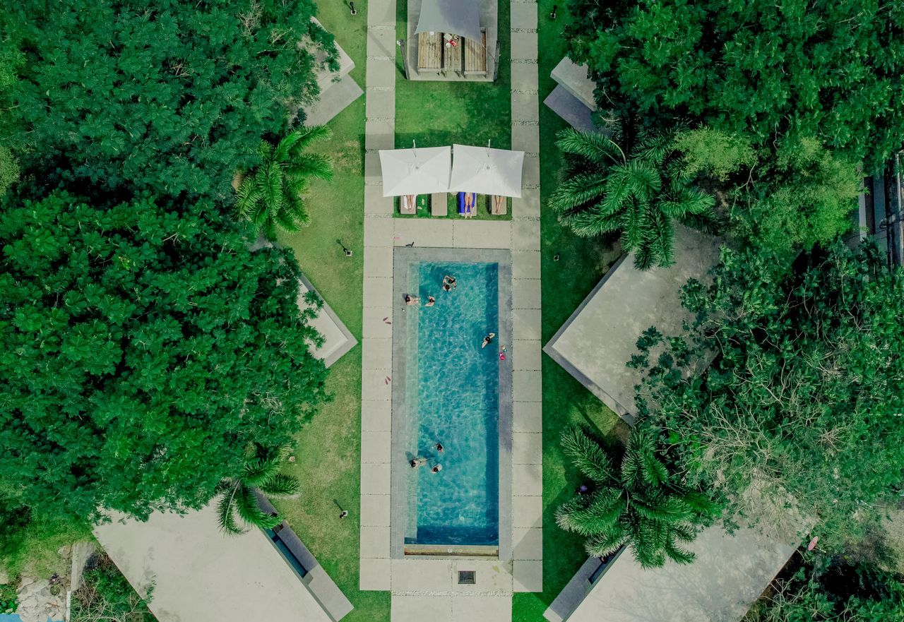Aerial straight down over the pool surrounded by dense trees at Veue