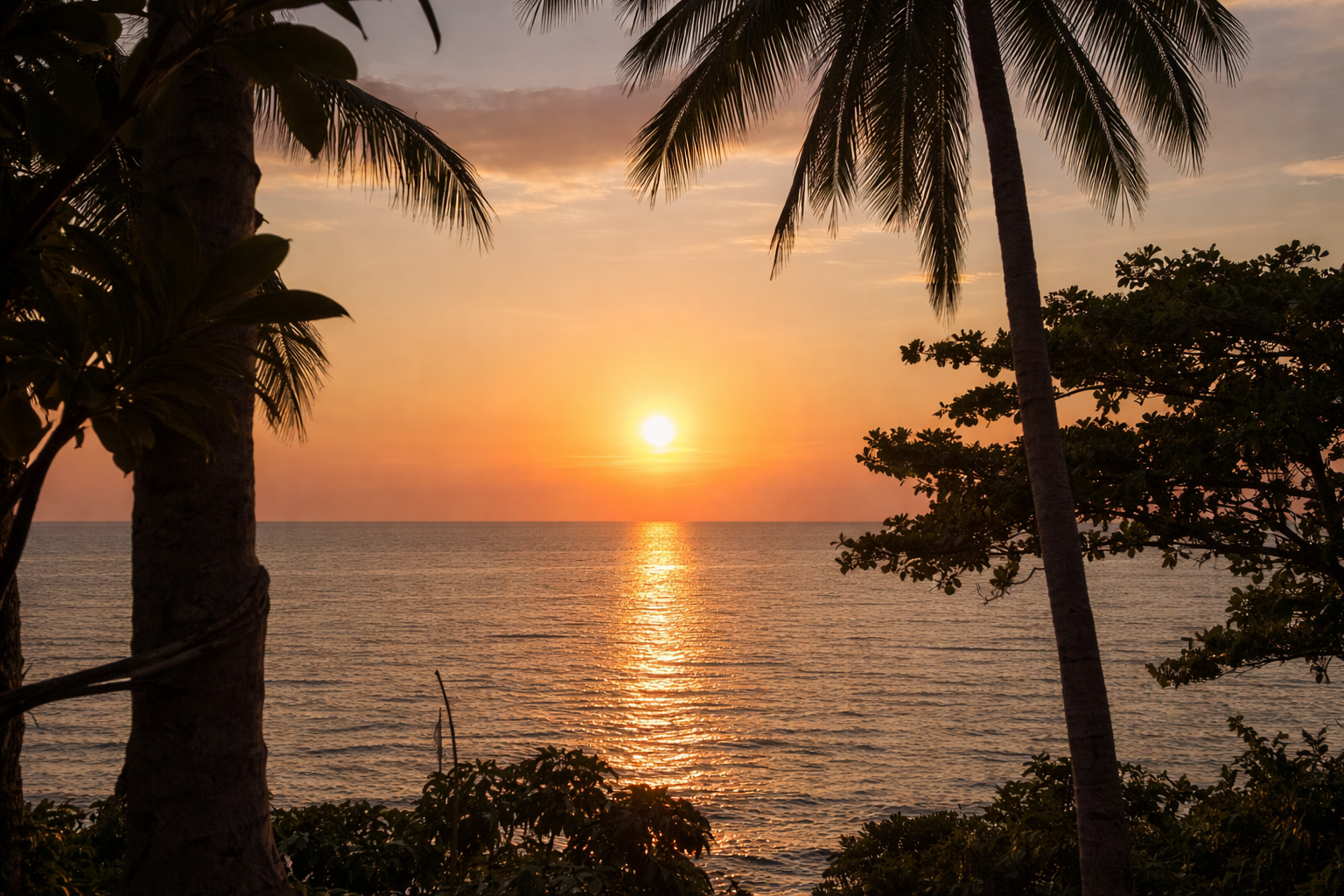 Sunset over the West Philippine Sea, framed between two palm trees on Patar Beach.